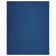 Книга канцелярская 096 л. бумвинил клетка, синяя БиДжи