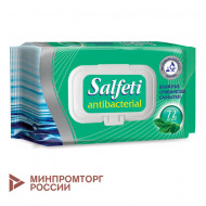 Salfeti вл.салфетки Antibacterial, 100 шт. клапан