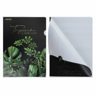 Папка-уголок deVente Tropicana А4 с рисунком