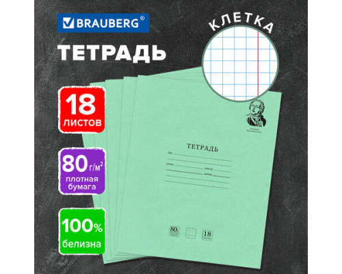 Тетрадь А5 018 л. клетка Великие Имена, плотные листы, блок 80 г/м2